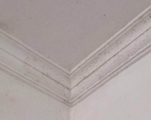What is PU material