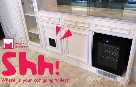 molding trim style